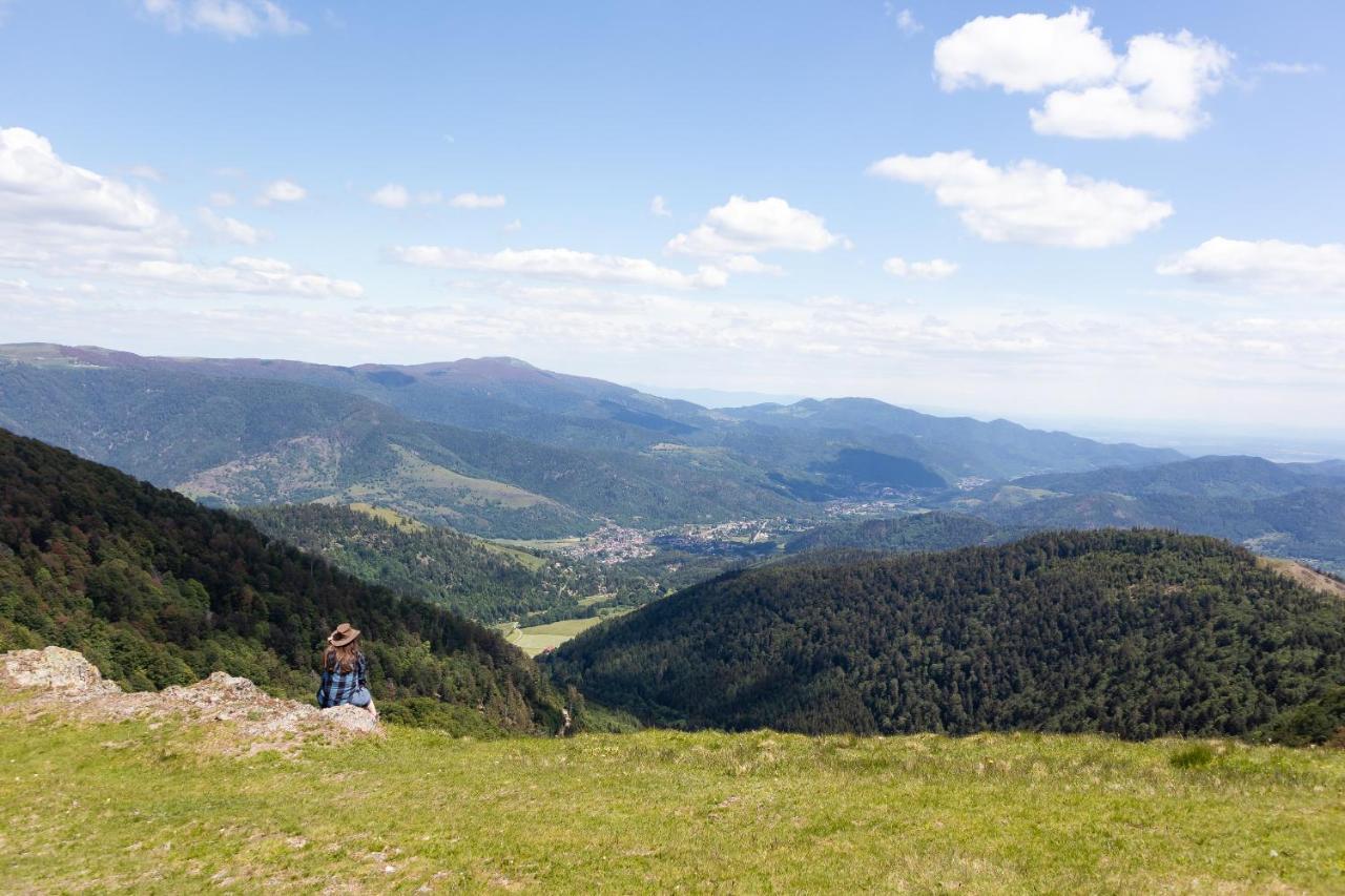 Chalets Na'Thur Lodge Fellering Dış mekan fotoğraf